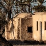 an old building with palm trees in the background